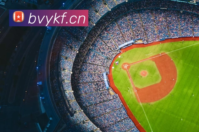 九游体育官方平台APP 封面图